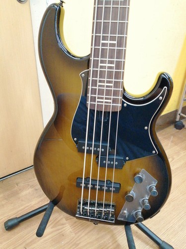 Guitare basse électrique