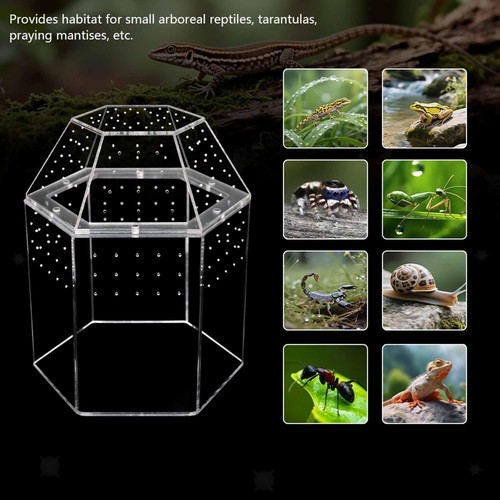 Terrarium pour reptiles - terrarium,