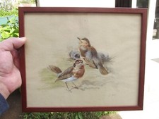 ancien tableau aquarelle représentant des oiseaux rouge gorge signer L. Remy