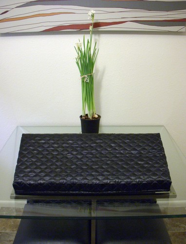 Classy dust cover - classy, moog