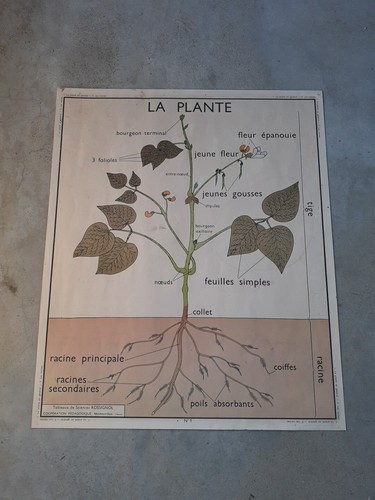 Carte scolaire rossignol 2 - scolaire, n1-2