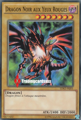 Dragon noir - ♦yu-gi-oh!♦,