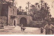 Algérie - n°63429 - Tolga -