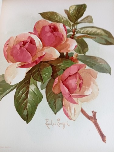 Paul longpre 18 - de,