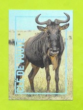 Carte incroyable animaux du