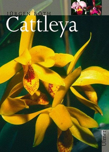 Bärbel röth jürg - bärbel, cattleya