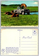 1969 Dallas, TX World of