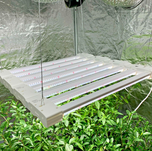Led grow light - grow,