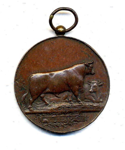 Médaille ancienne cuivre - médaille,