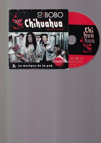 Bobo chihuahua - -,