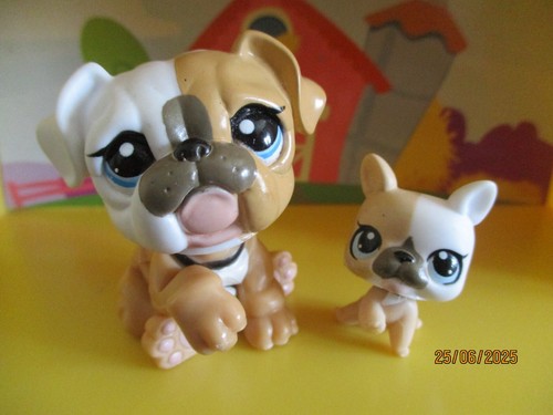 Petshop duo maman et bébé - petshop,