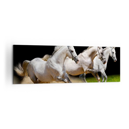 Impression sur toile 160x50cm - sur,
