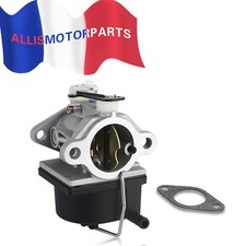 Carburateur Tecumseh Pour OHV110/OHV115/OHV120/OHV125/OHV130/OHV135 640065 A