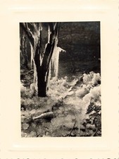 ANCIENNE JOLIE PHOTO NOIR ET