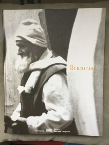 Brancusi centre georges - brancusi,
