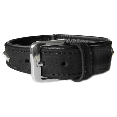 Das lederband laisse collier - das,