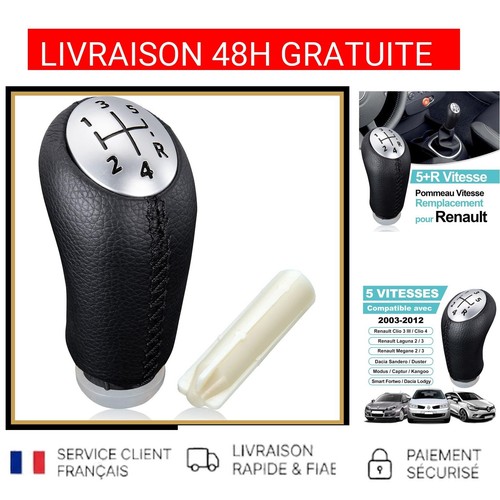 Pommeau levier vitesse - levier,