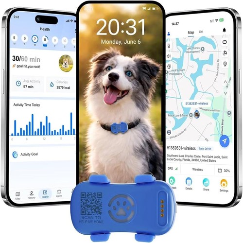 Collier gps pour - gps,