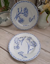 2 Assiettes plates Lunéville Oeillet