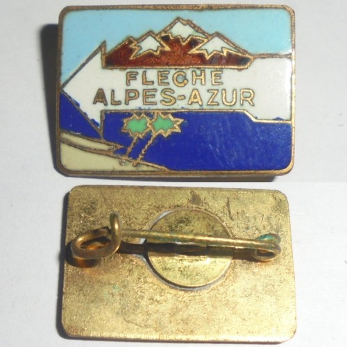 Insigne broche epinglette - broche,