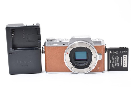 Appareil photo numérique sans