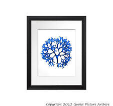 Single Wall Art Print Blue