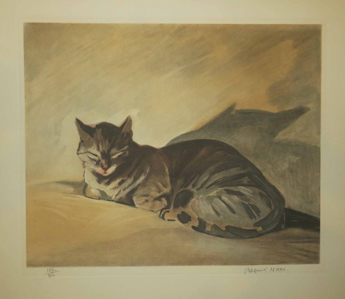Jacques nam fastagette - jacques,