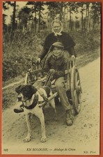 Reédition carte postale ancienne-Attelage chiens en sologne-M.172