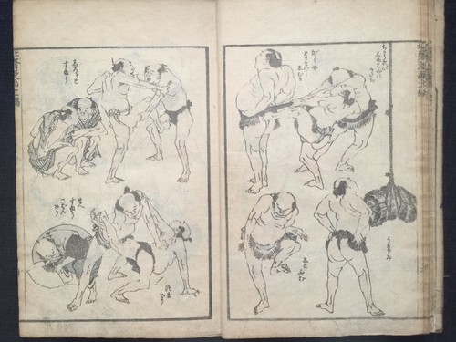 Org hokusai manga vol - manga, vol.11