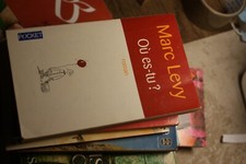 Livre roman Et si c'était