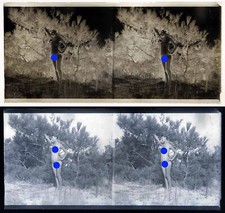 photo NEGATIF verre NU