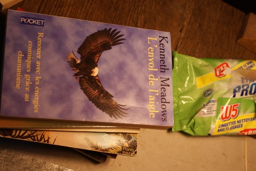 Envol aigle la voie - de, l'aigle: