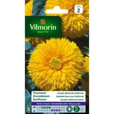 Vilmorin - Tournesol double
