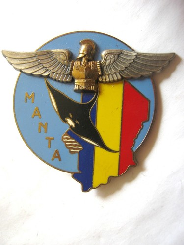Insigne rga genie - le, de