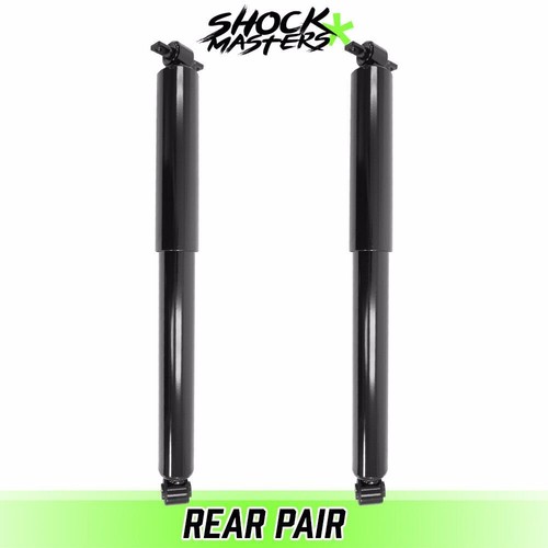 Rear pair gas shock absorbers - rear,