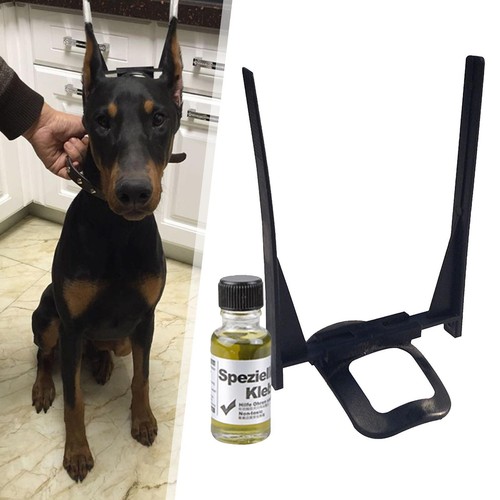 Pet dog ear stand plastique - dog,