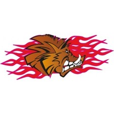 Tête de sanglier flammes -