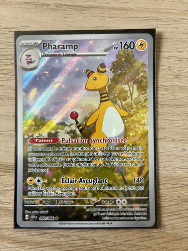 Carte pokémon - 🇲🇫carte,