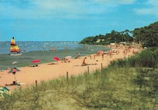 17  RONCE LES BAINS LA PLAGE DE LA CEPE