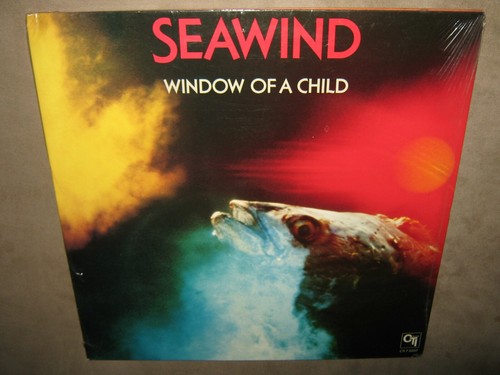 Seawind window child - window,