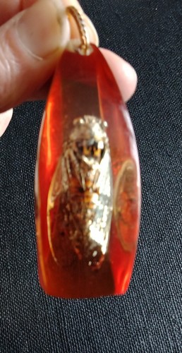 Ancien bijou pendentif - , résine