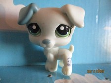 PETSHOP CHIEN JACK RUSSEL