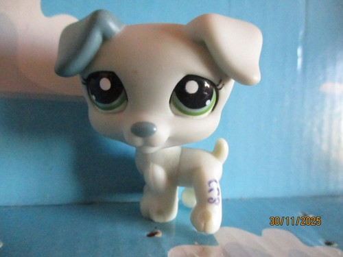 Petshop chien jack - chien,