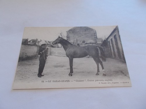 Haras pin orne - 61, le