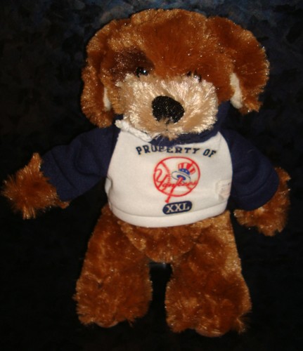 New york yankees dog - york,
