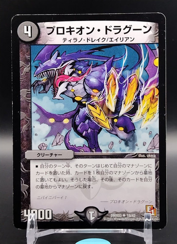 Procyon dragoon - procyon,
