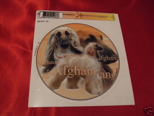 Autocollant motif chien - -,