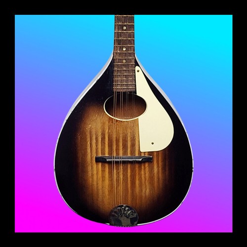 Stella 1950 harmony - stella, mandolin