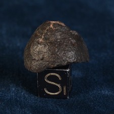 Météorite NWA 869 de 7,01 g