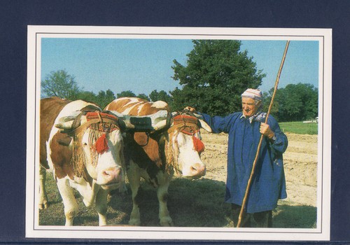 Cpm bresse traditionnelle - ,